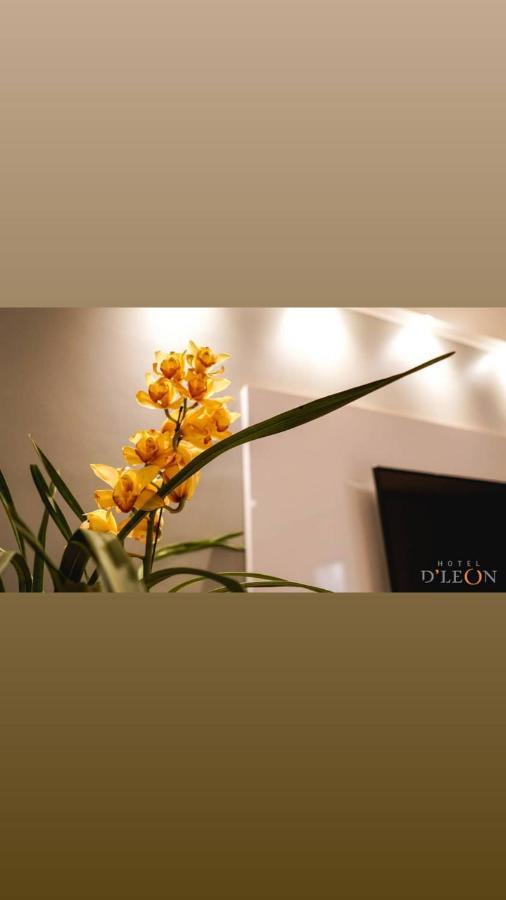 Hotel D'Leon Gurupi Ngoại thất bức ảnh